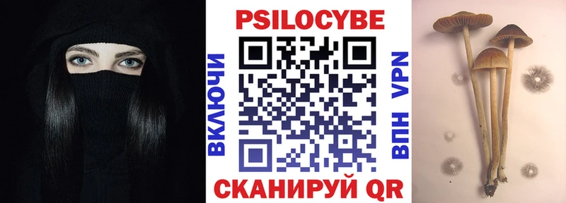 Псилоцибиновые грибы прущие грибы kraken зеркало Ужур